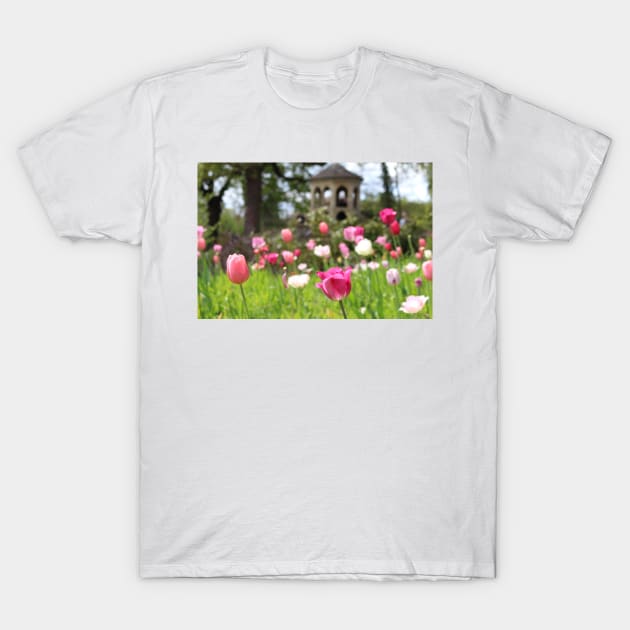 Tulip View T-Shirt by RFMDesigns